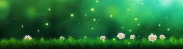 Daisys-Green background
